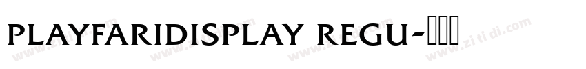 playfaridisplay regu字体转换